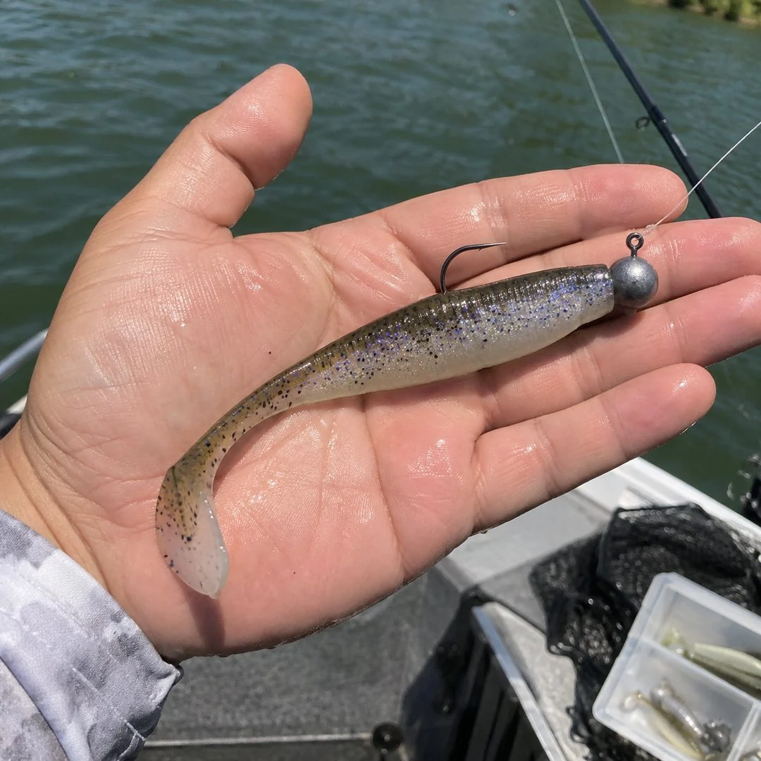 Isca Shad pronta para uso