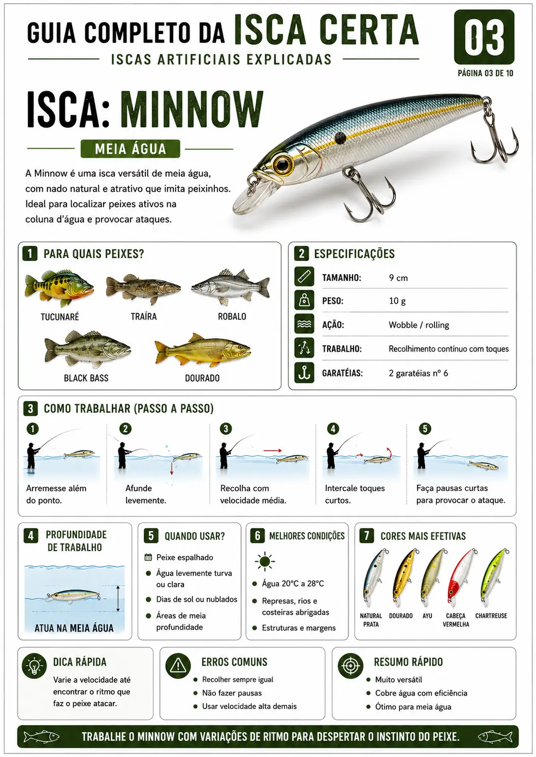 Página do guia sobre a isca Minnow para meia-água